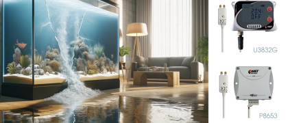 Pas d'eau, pas de larmes : Découvrez nos nouveaux détecteurs d'inondation
